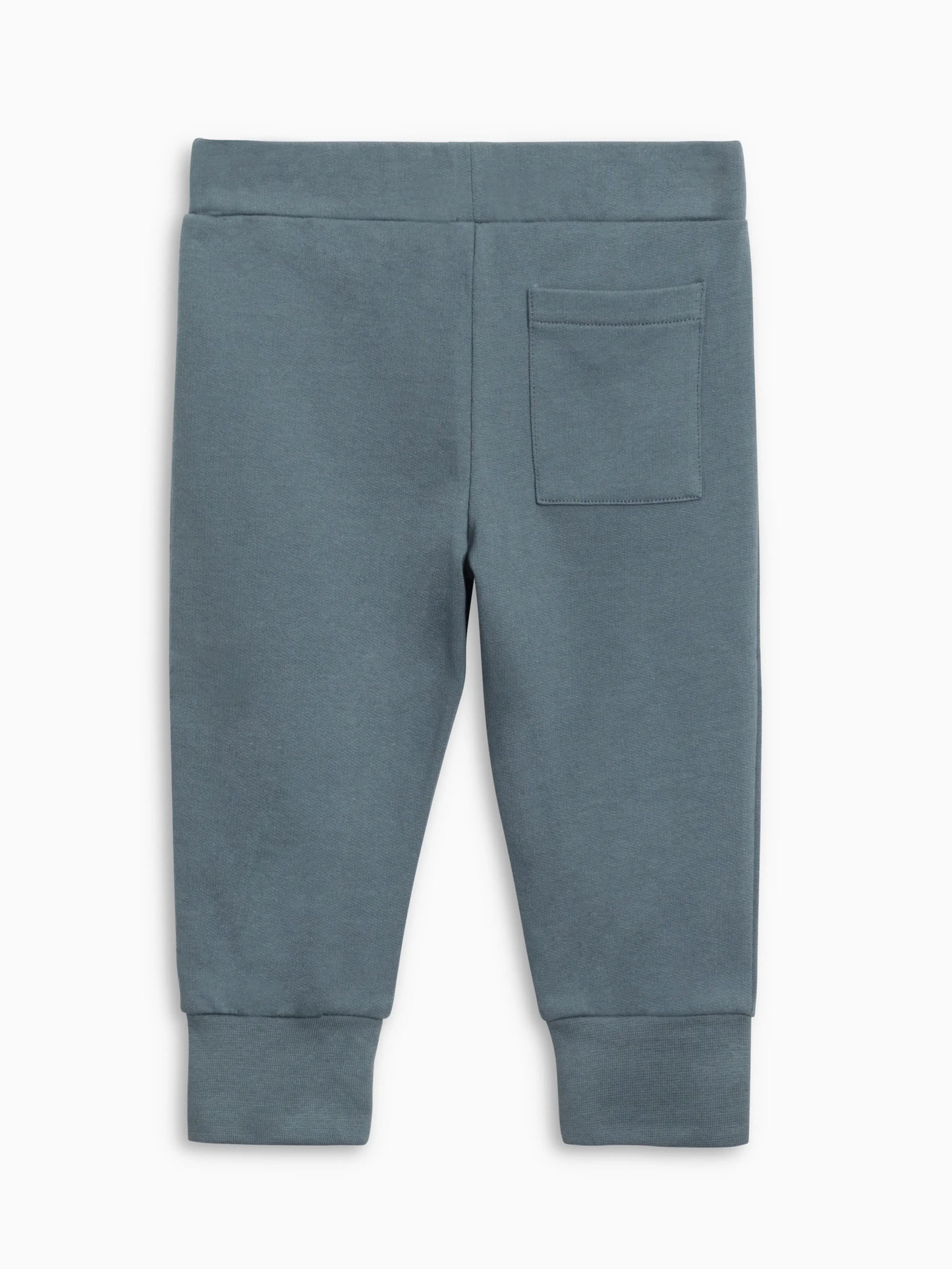 Colored Organics Arvin French Terry Joggers - Harbor